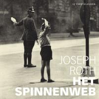 Het spinnenweb