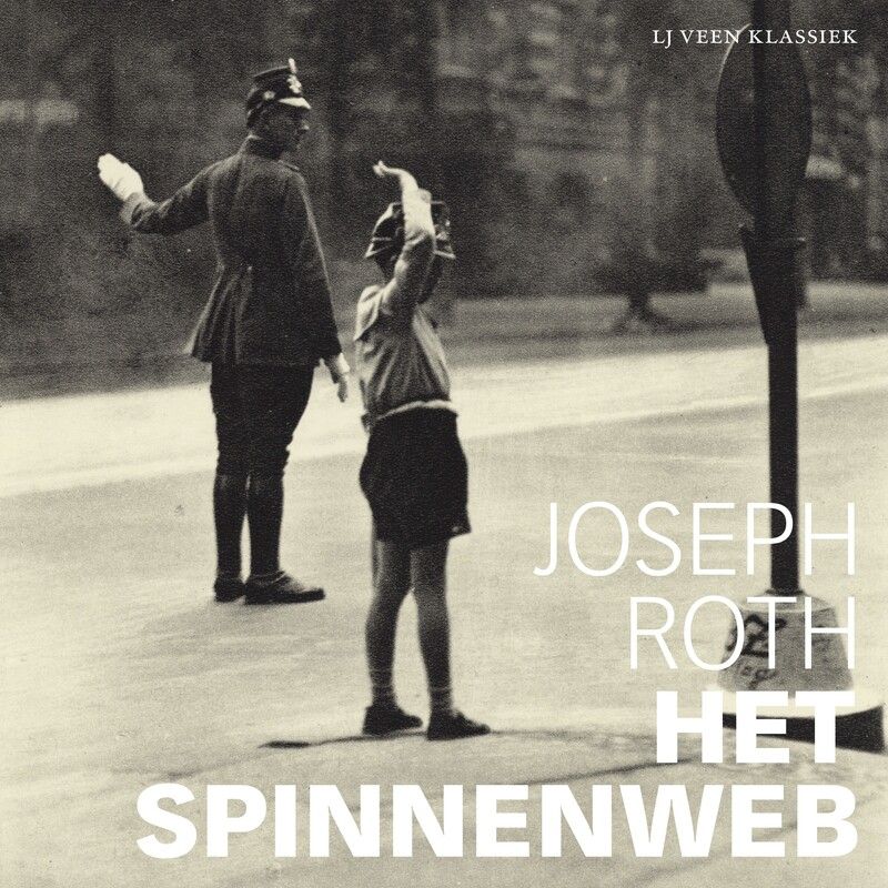 Het spinnenweb