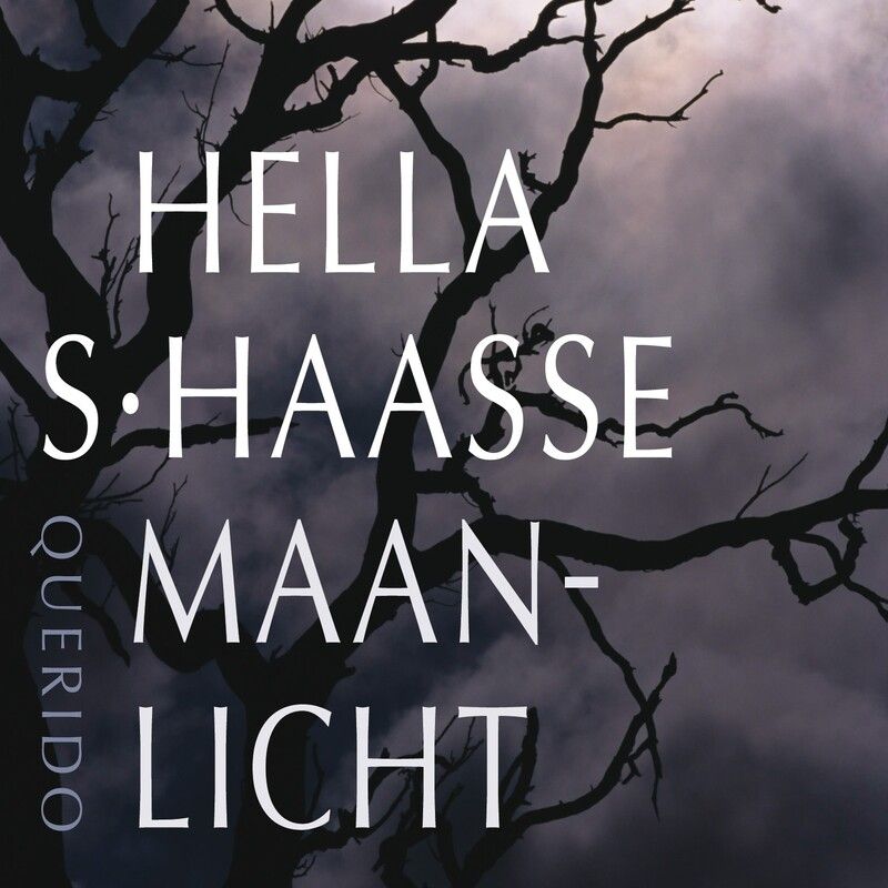 Maanlicht