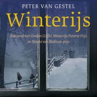 Winterijs