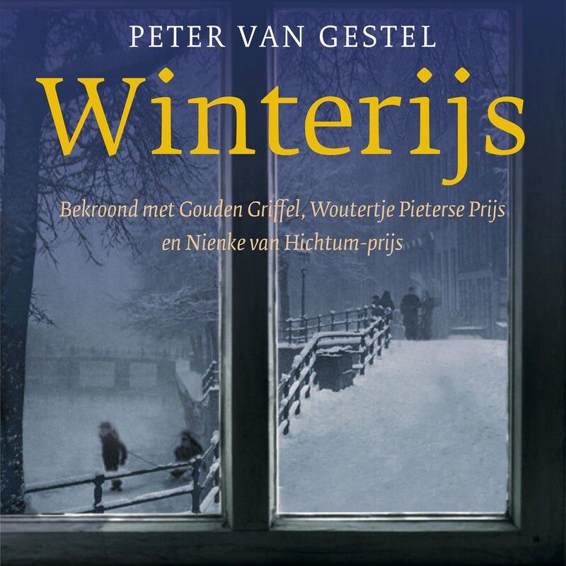 Winterijs