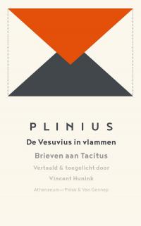 De Vesuvius in vlammen