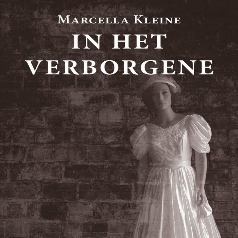 In het verborgene