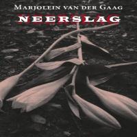 Neerslag