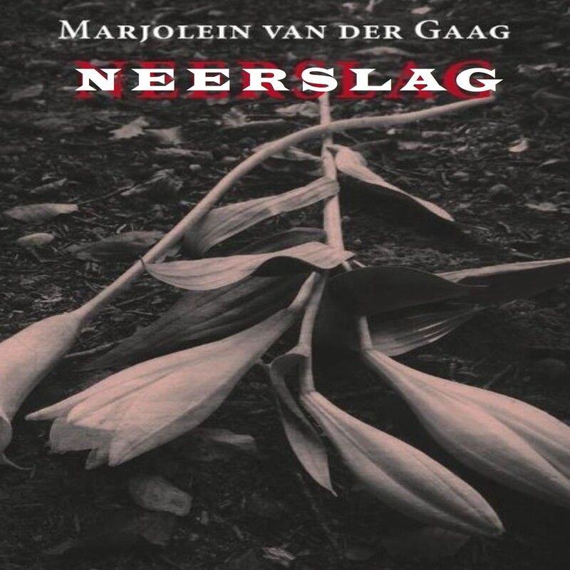 Neerslag