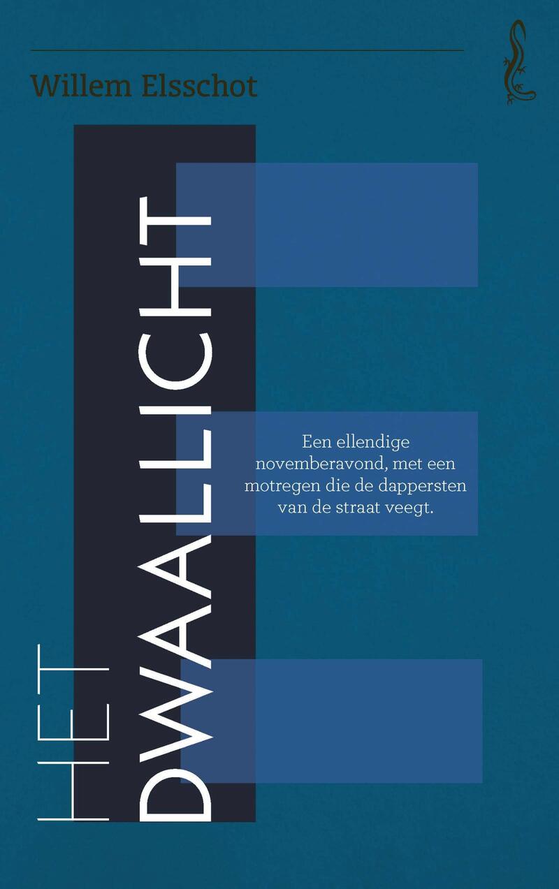 Dwaallicht