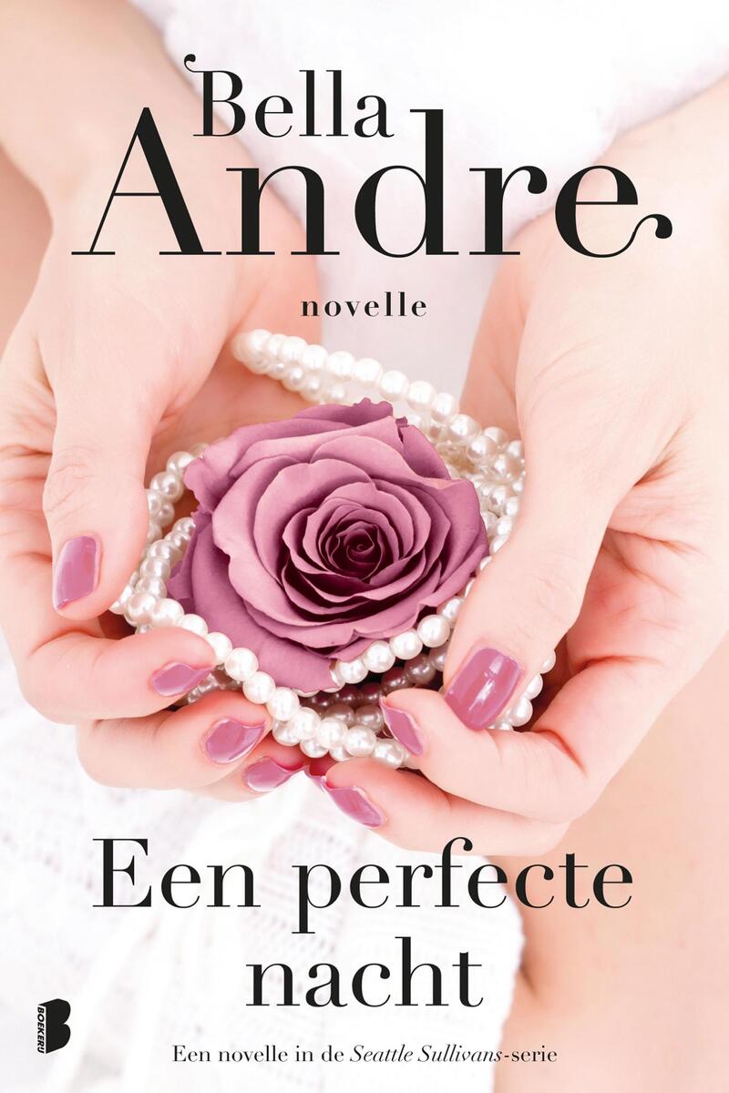 Een perfecte nacht