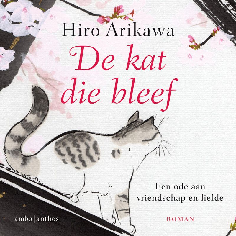 De kat die bleef
