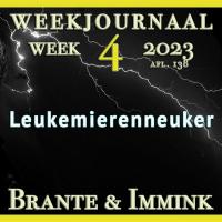 Een Poging Tot Zelfcensuur