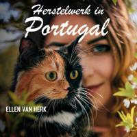 Herstelwerk in Portugal