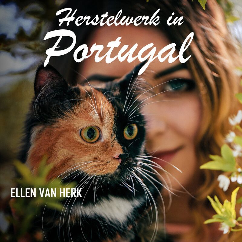 Herstelwerk in Portugal