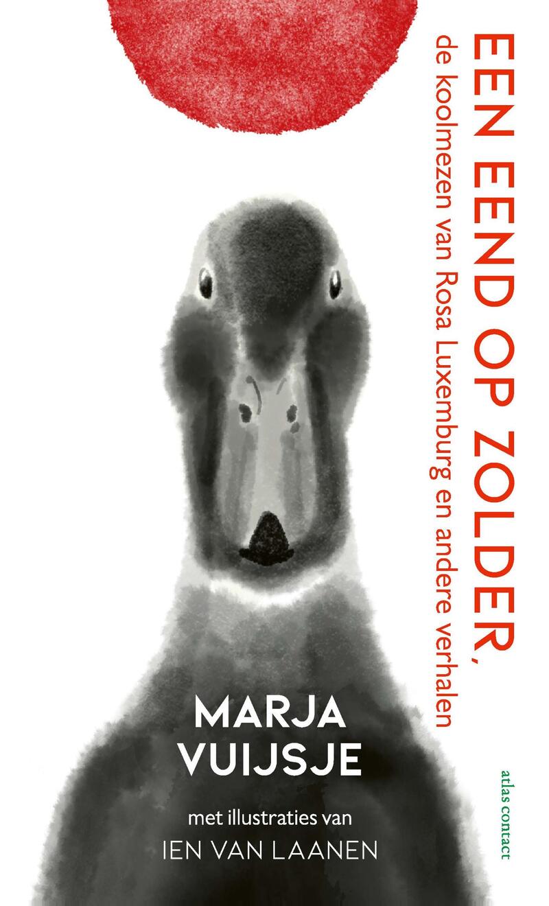 Een eend op zolder
