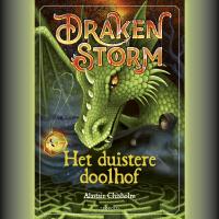 Het duistere doolhof