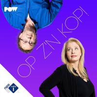 OP Z'N KOP! 'Het moet echt stoppen, want zo verliezen mensen hun vertrouwen in de politiek'