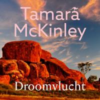 Droomvlucht
