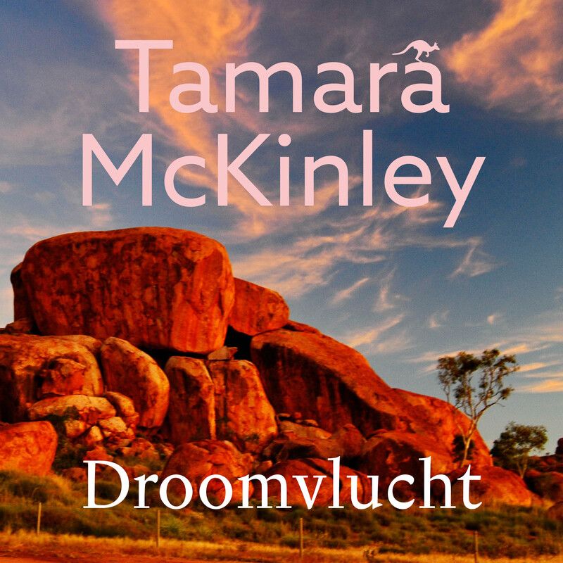 Droomvlucht