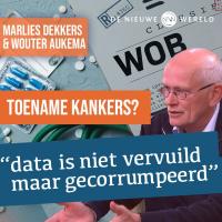 "40% van serieuze meldingen verdwijnt" | #1728 Wouter Aukema