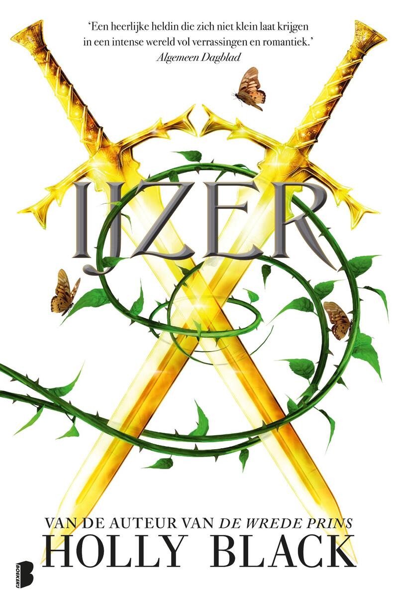IJzer