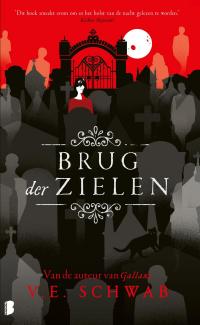 Brug der zielen