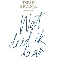 Beeldspraak - aflevering 37: Tsead Bruinja - Wat deed ik daar