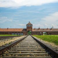 80 jaar na Auschwitz: hoe houd je de herinnering levend?