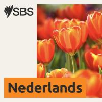 Learn Dutch - Episode 62: holiday - Leer Nederlands - les 62: vakantie