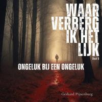 Ongeluk bij een ongeluk