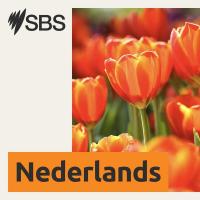 Learn Dutch - Episode 64: Dutch landscapes - Leer Nederlands - les 64: Nederlandse landschappen