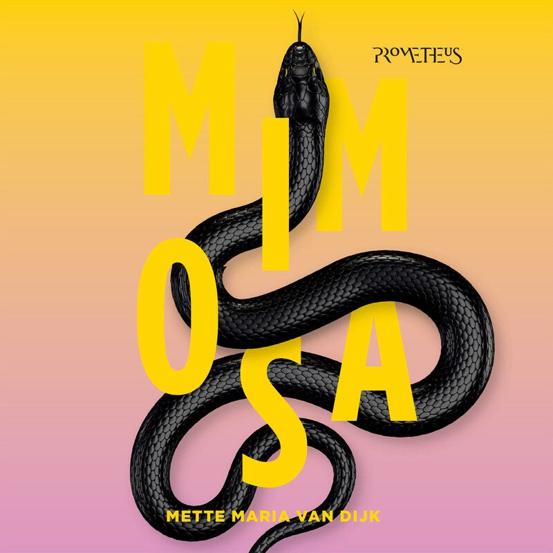 Mimosa