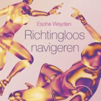 Beeldspraak - aflevering 40: Esohe Weyden - Richtingloos navigeren
