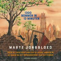 1300 bommen in 13 minuten