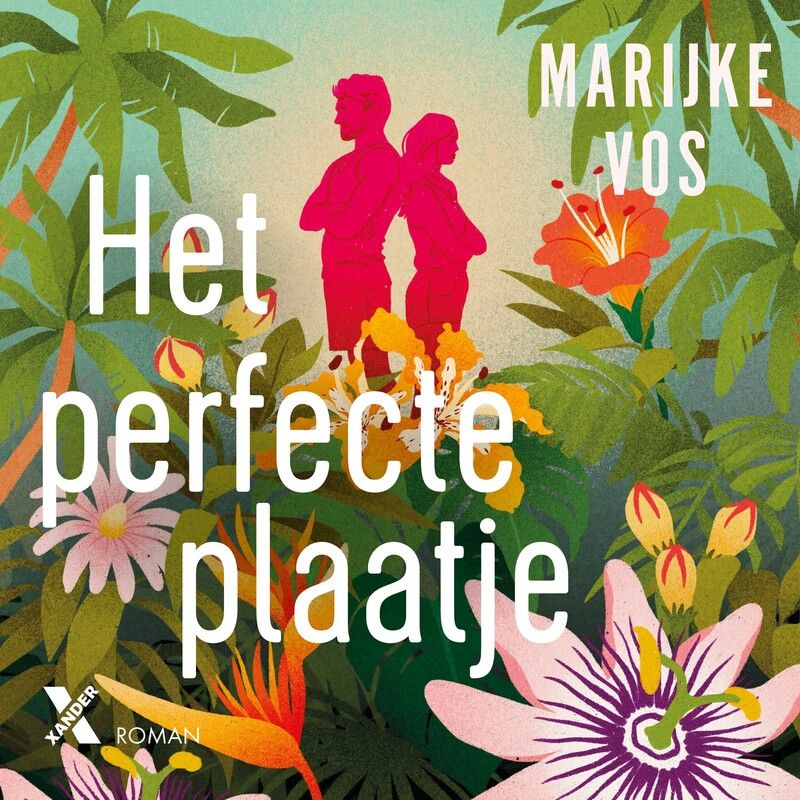 Het perfecte plaatje