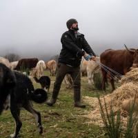 Luisterverhaal: Leven met de wolf — het kan, bewijst deze Spaanse veehouder