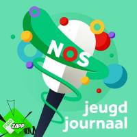 Kan Nederland de oorlog in Gaza stoppen?
