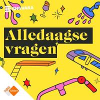 Waarom hebben we zes weken zomervakantie?
