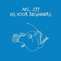 #277 - Vis voor beginners