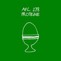 #278 - Proteïne