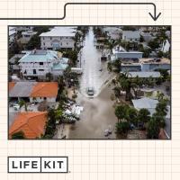 Protect your home this hurricane season