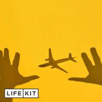 Flight cancelled again? Try these tips.