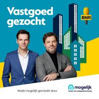 De contouren van een concreet woningmarkt-renovatieplan