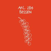 #284 - Bessen