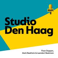 Asielwet in de knel