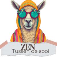 Voorbereiden reset