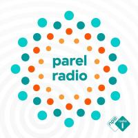 Zomerweek met Bente Hamel - 1. Een merkwaardige verslaving