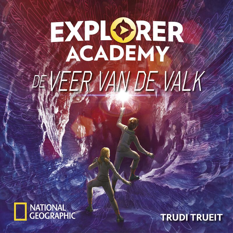 De veer van de valk