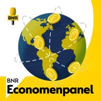Economenpanel over inflatiebestrijding