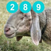 TPO Podcast 289 met Bert Brussen & Roderick Veelo