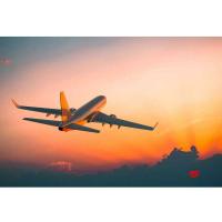 To fly or not to fly