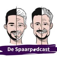 S5.23 Erik-Jan Gelink - Een veeleisende baan als c-level executive en toch meerdere keren (5x+!) met pensioen